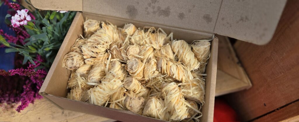 GLight Eco Friendly Firelighters (BOX OF 50)